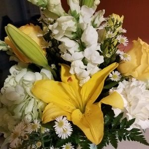 Meet your Posher, Tracy